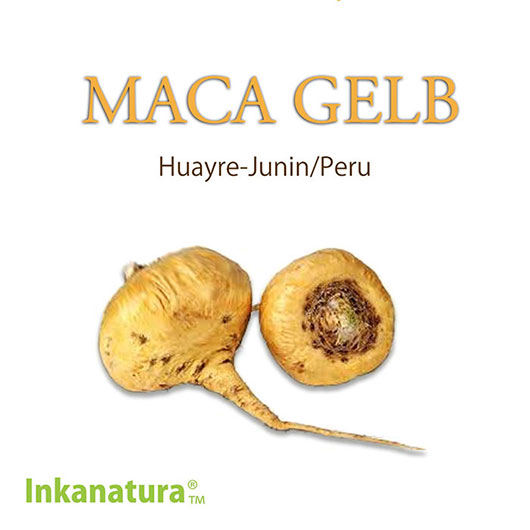 MACA