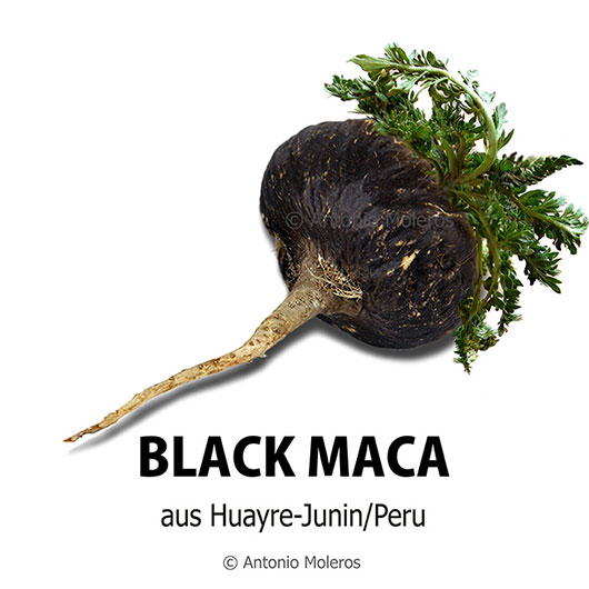 BLACK MACA